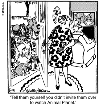 marmaduke